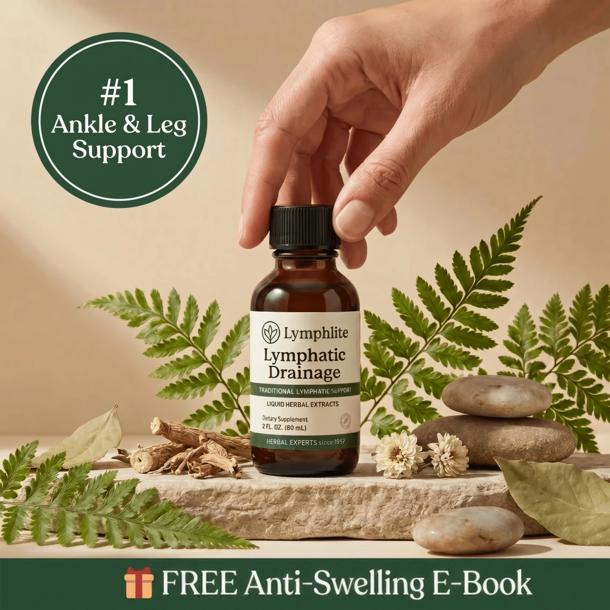 Lymphatic Support Drops - Lymphlite