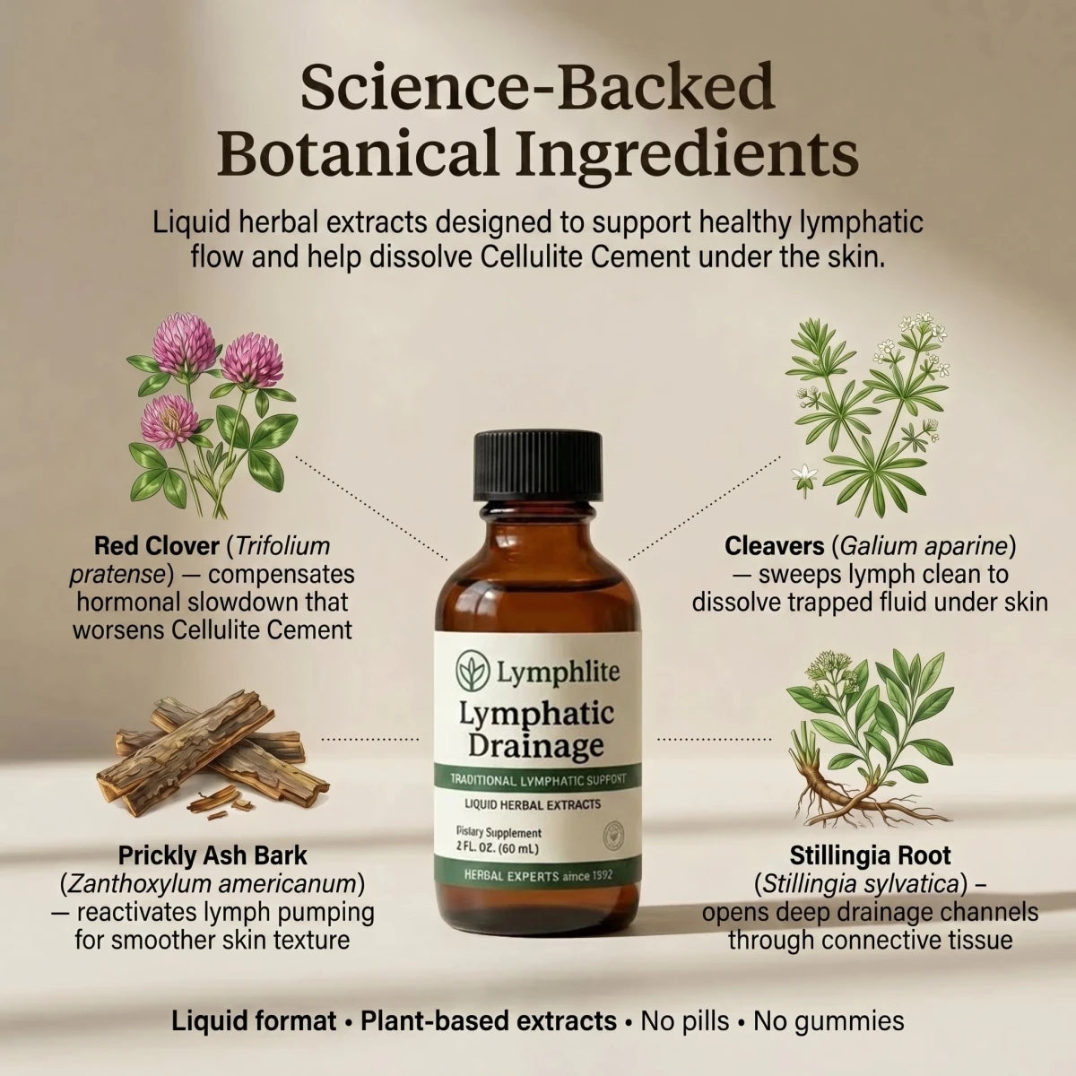 Lymphlite™ Cellulite Drainage Drops - Lymphlite